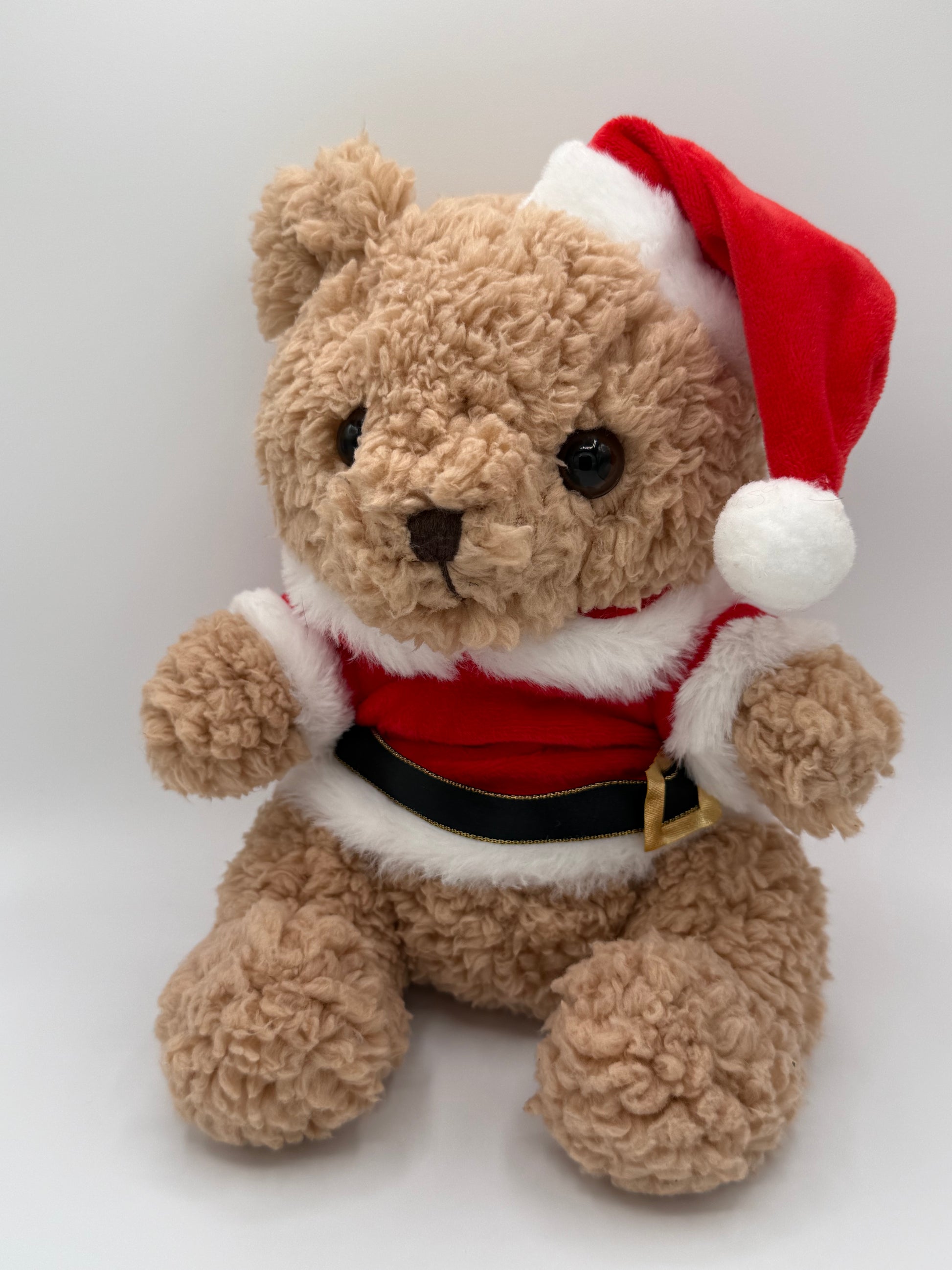 Christmas Bear Plushy
