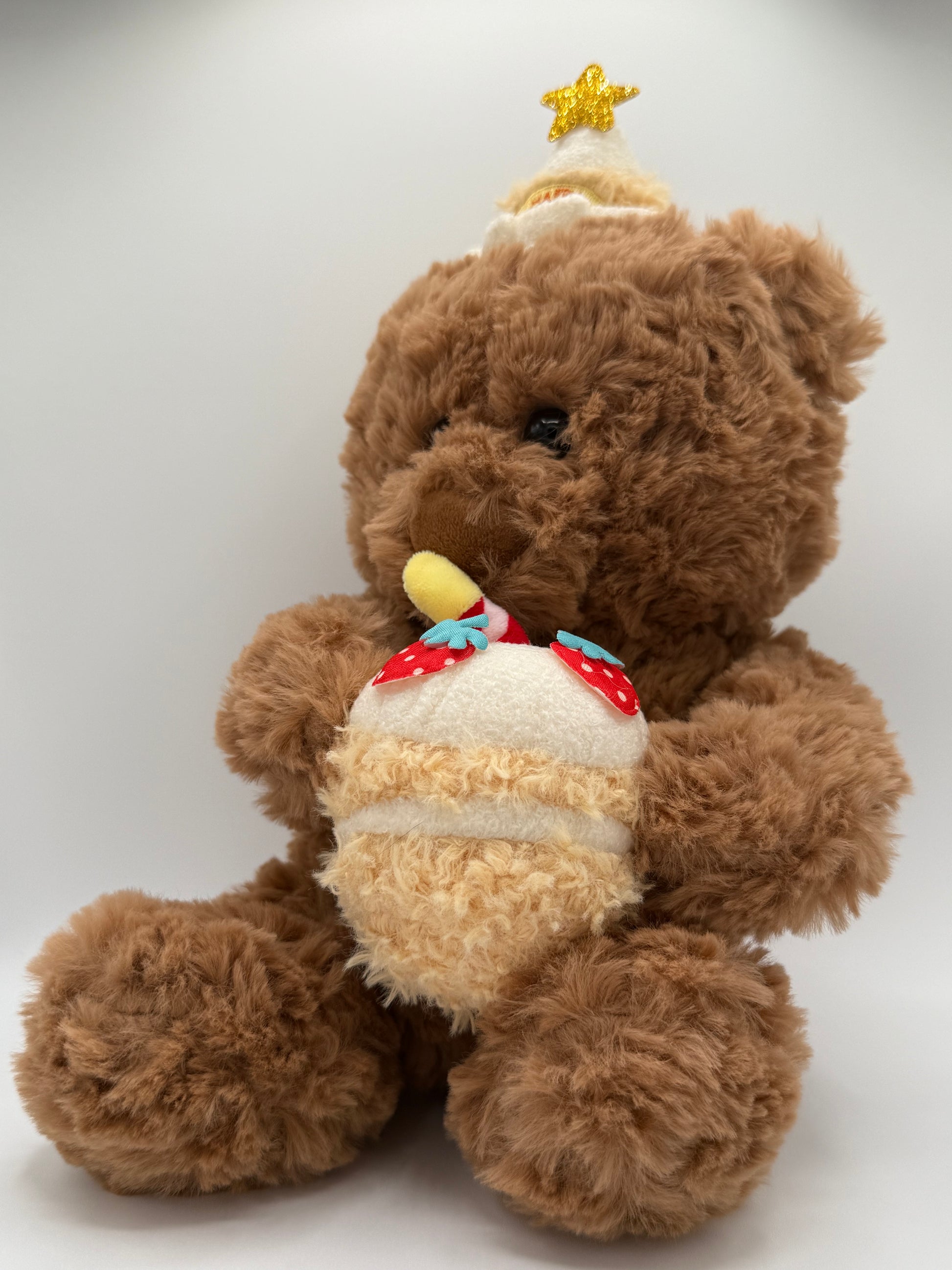 Teddy bear Plushy with birthday cake
