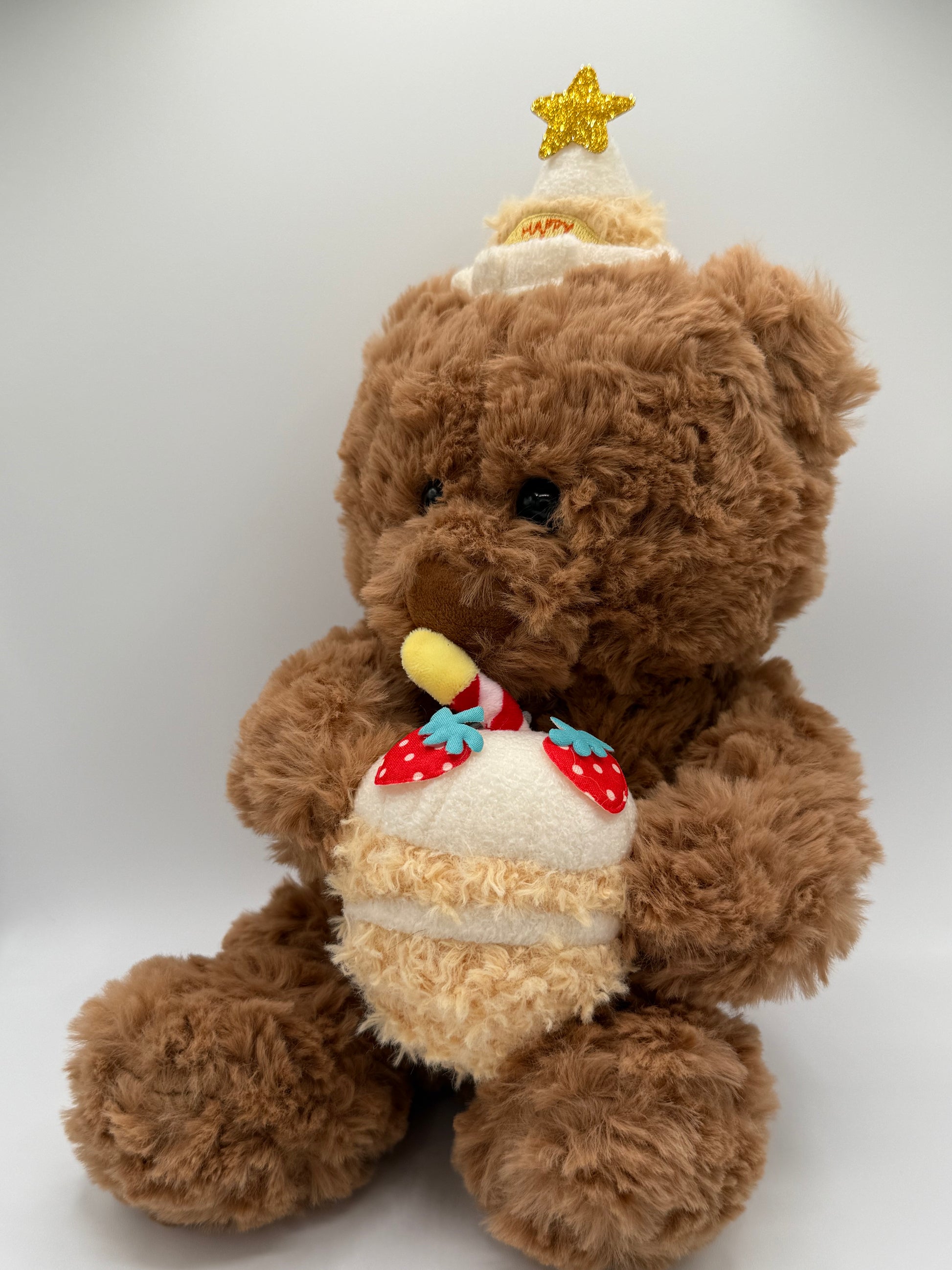 Teddy bear Plushy with birthday cake