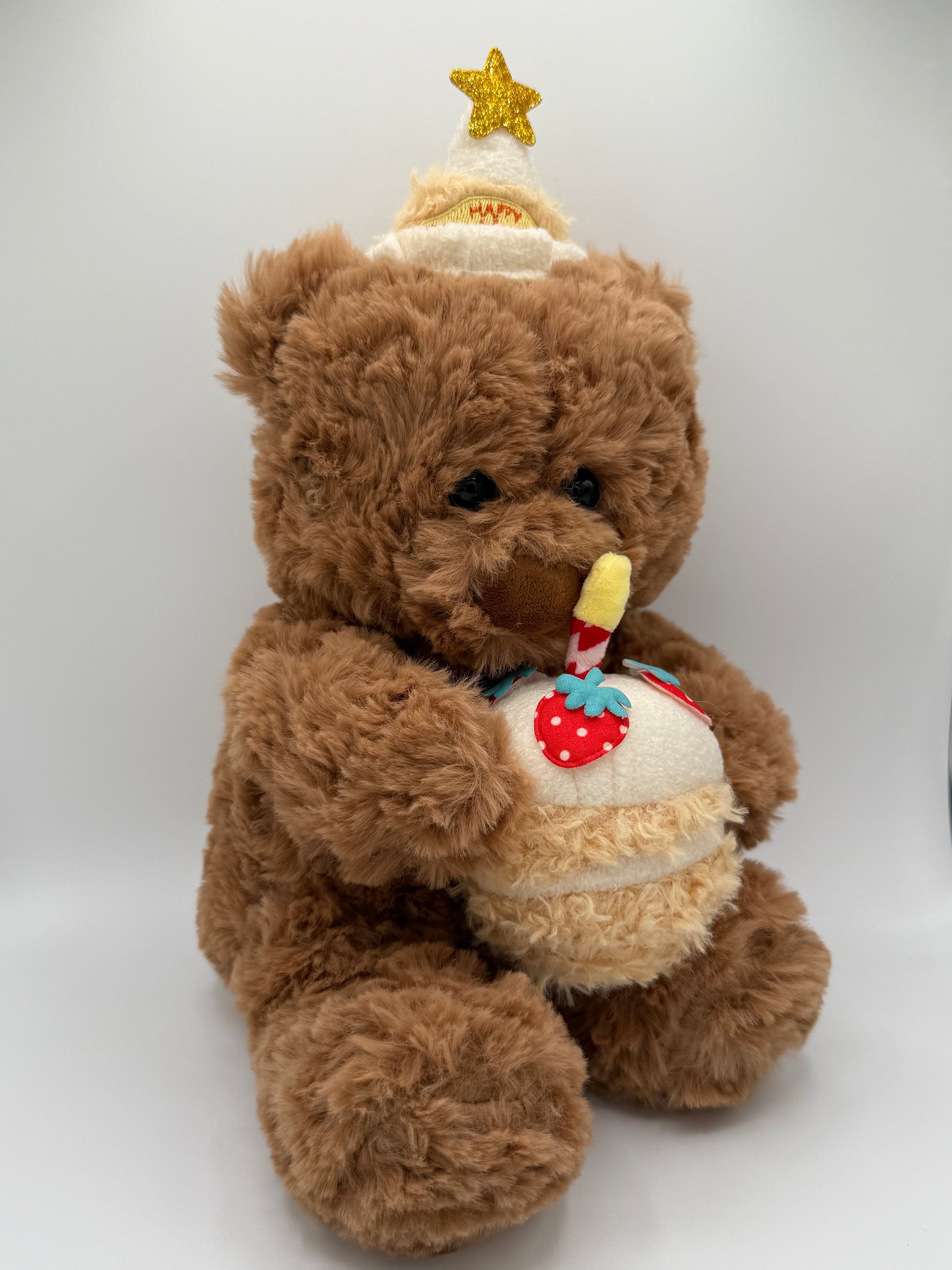 Teddy bear Plushy with birthday cake
