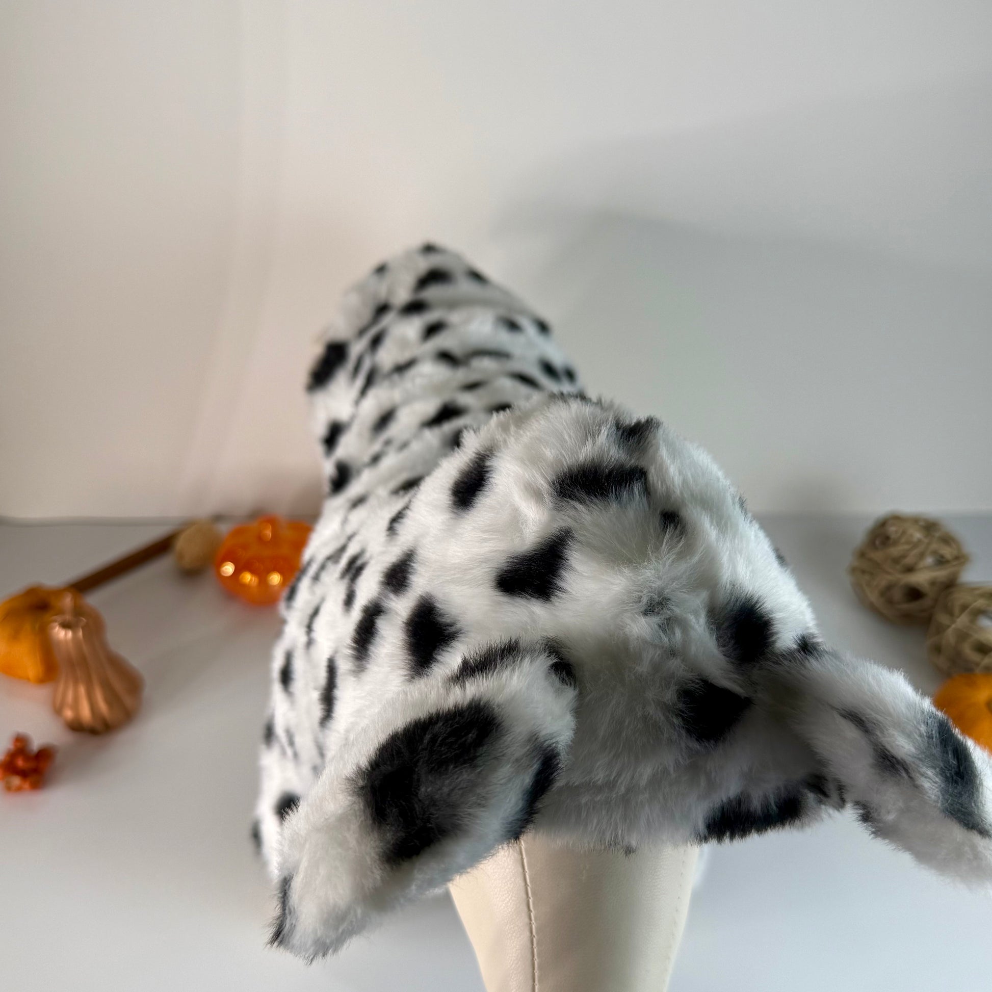 Dalmation dog costume