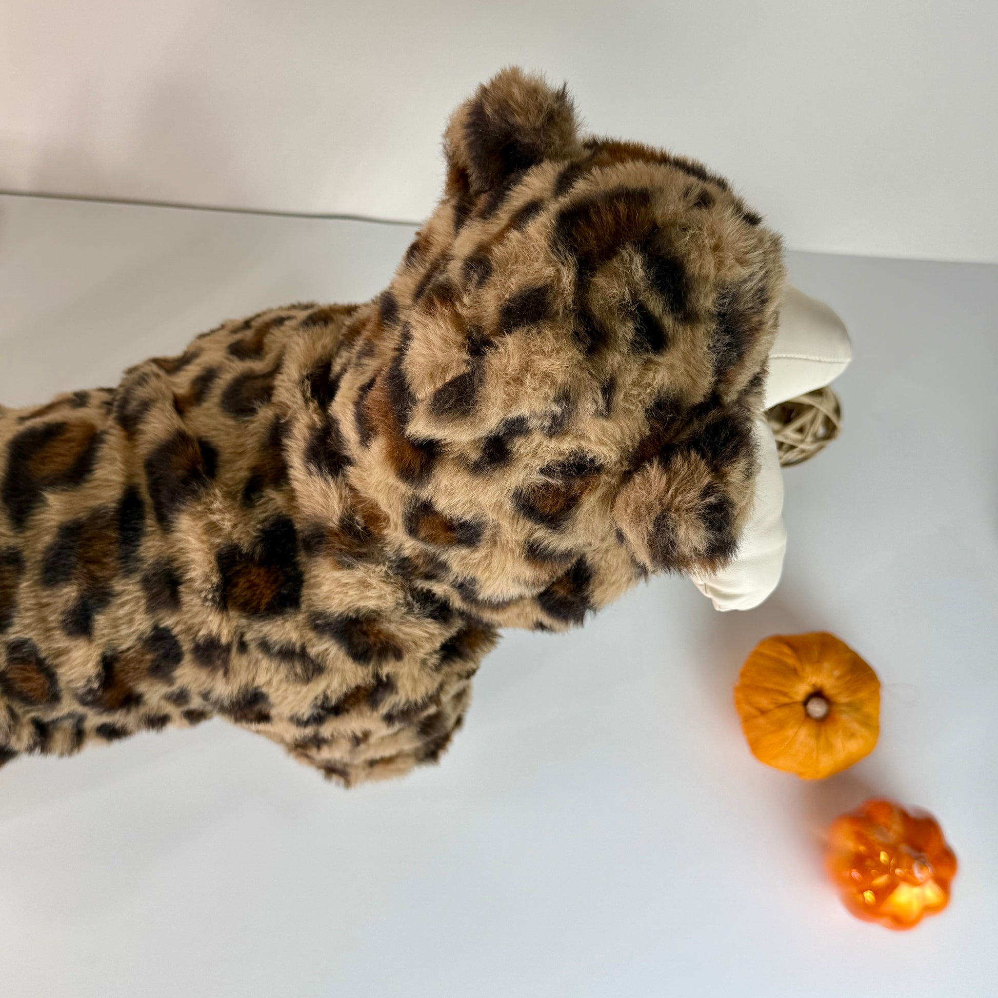Cheetah dog costume outfit
