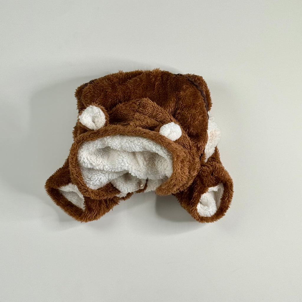 Dog cute bear costume