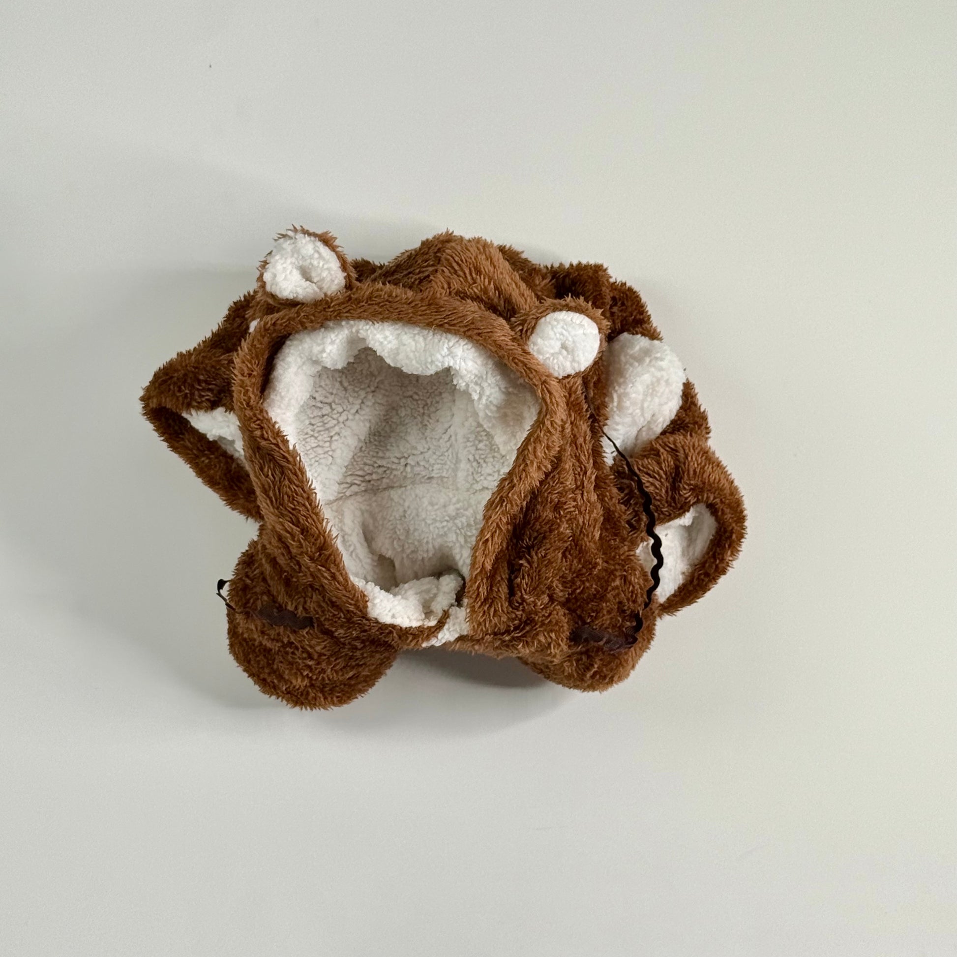 Dog cute bear costume