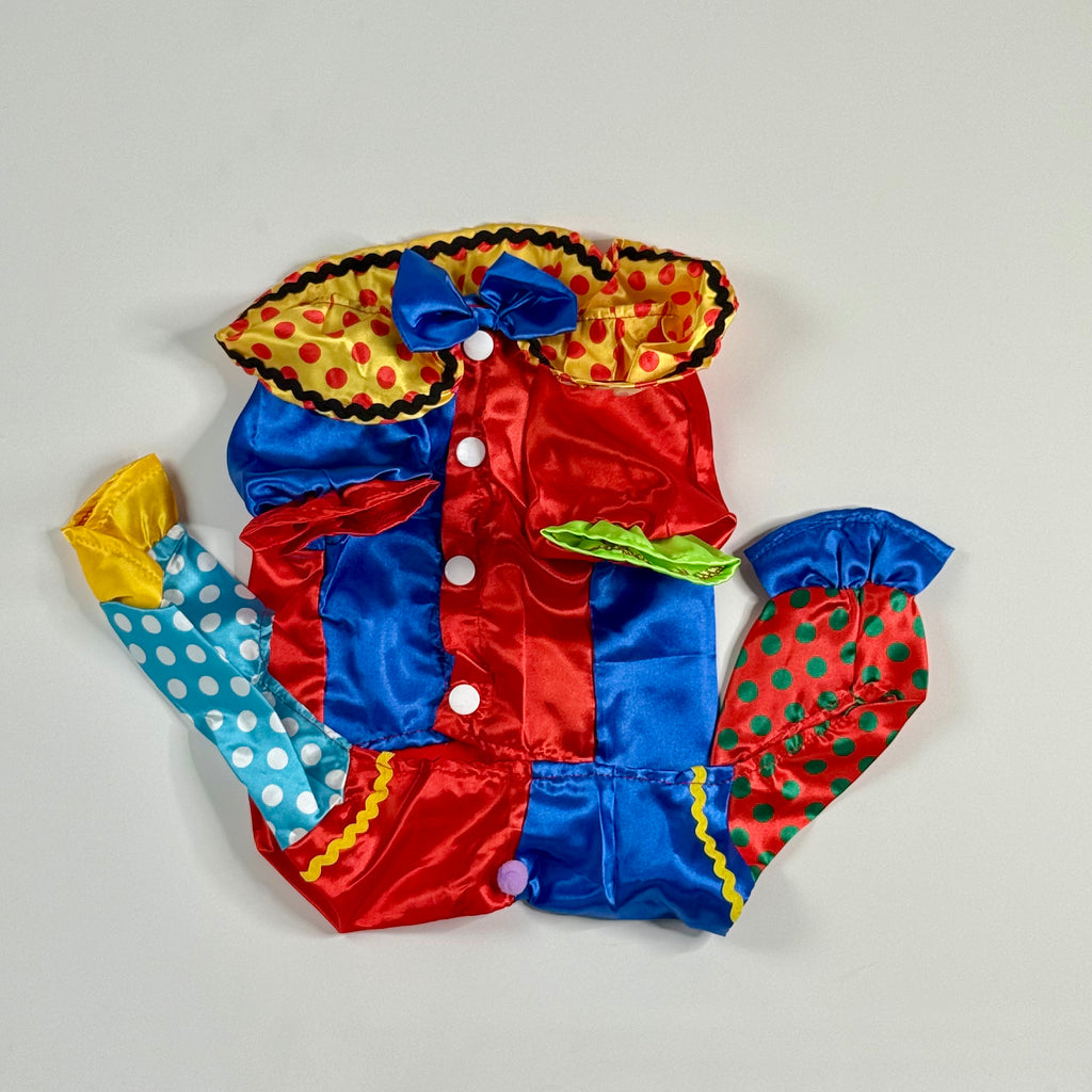Clown Dog costume colorful
