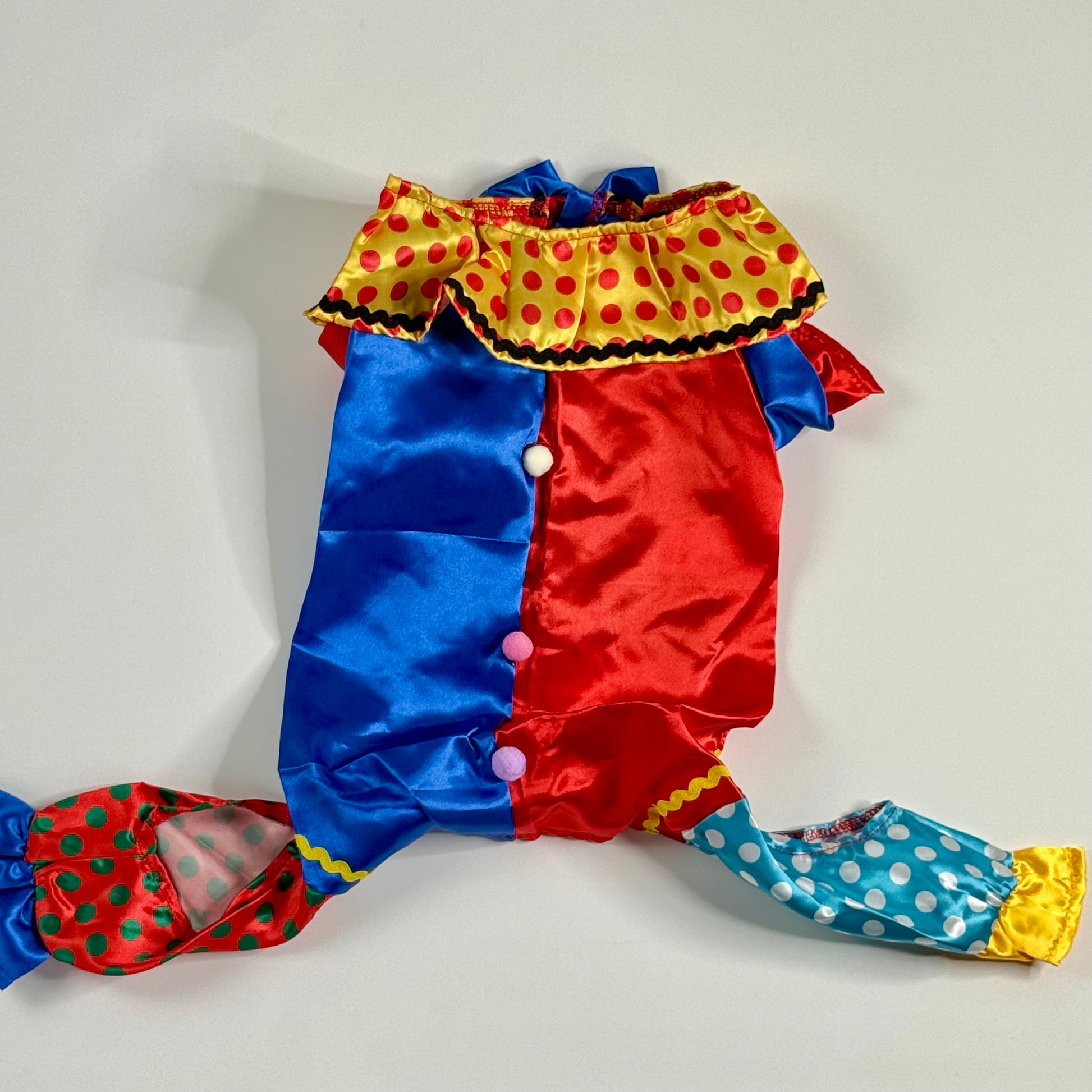 Clown Dog costume colorful