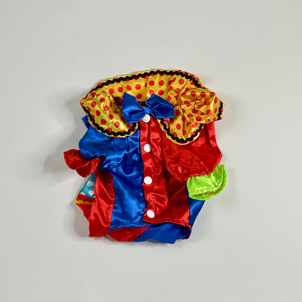 Clown Dog costume colorful