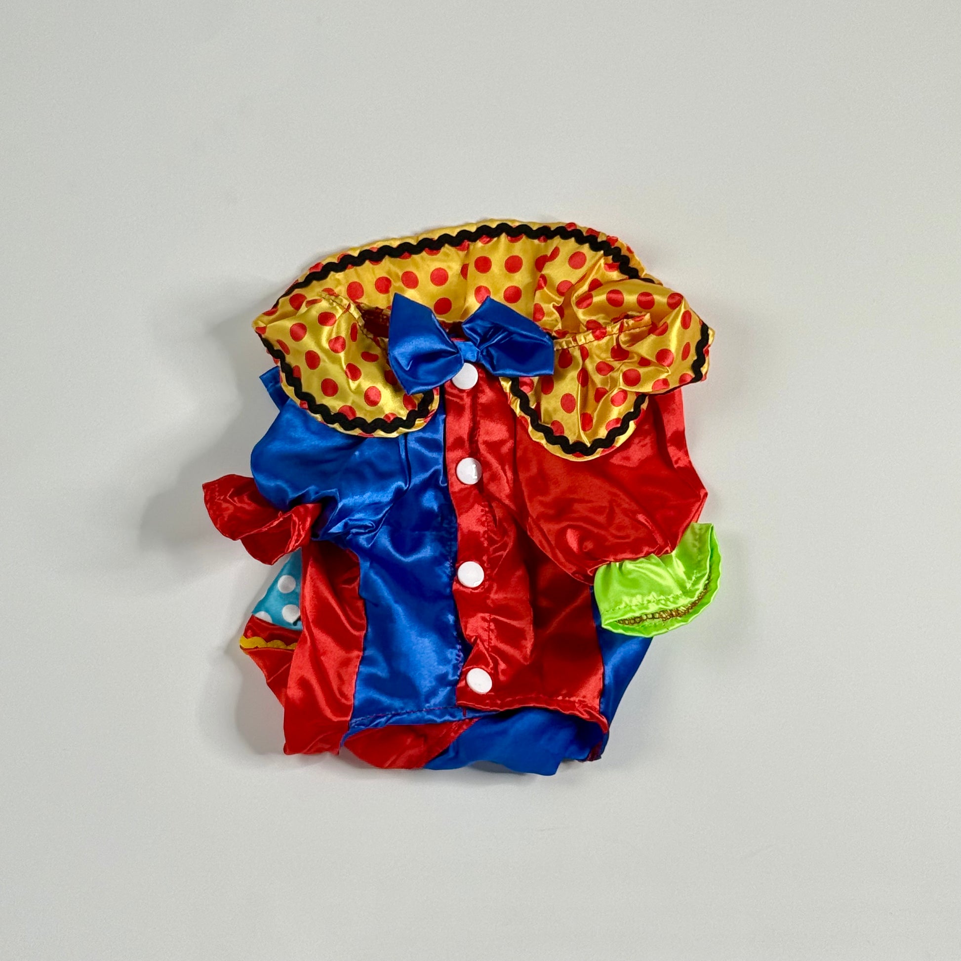 Clown Dog costume colorful
