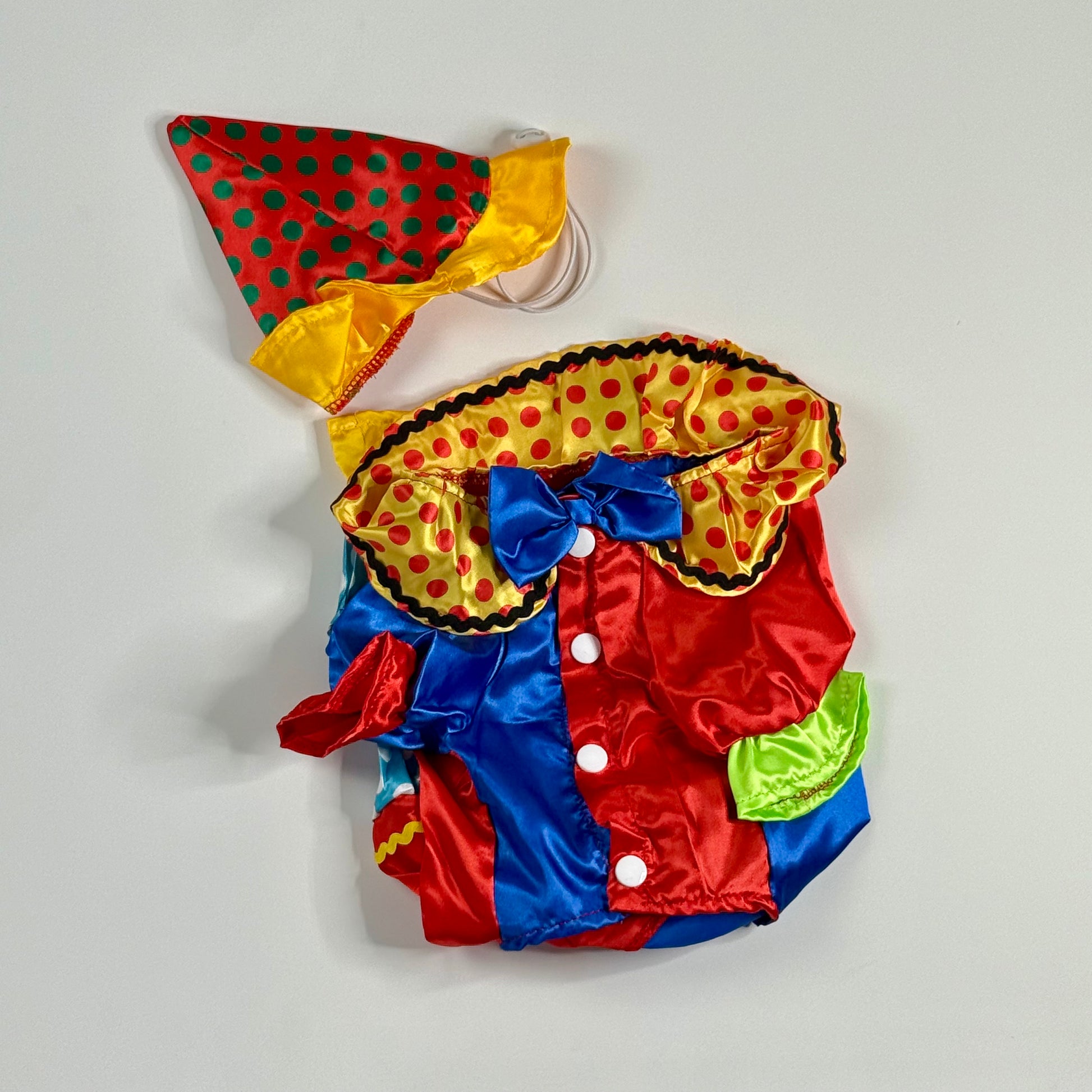 Clown Dog costume colorful