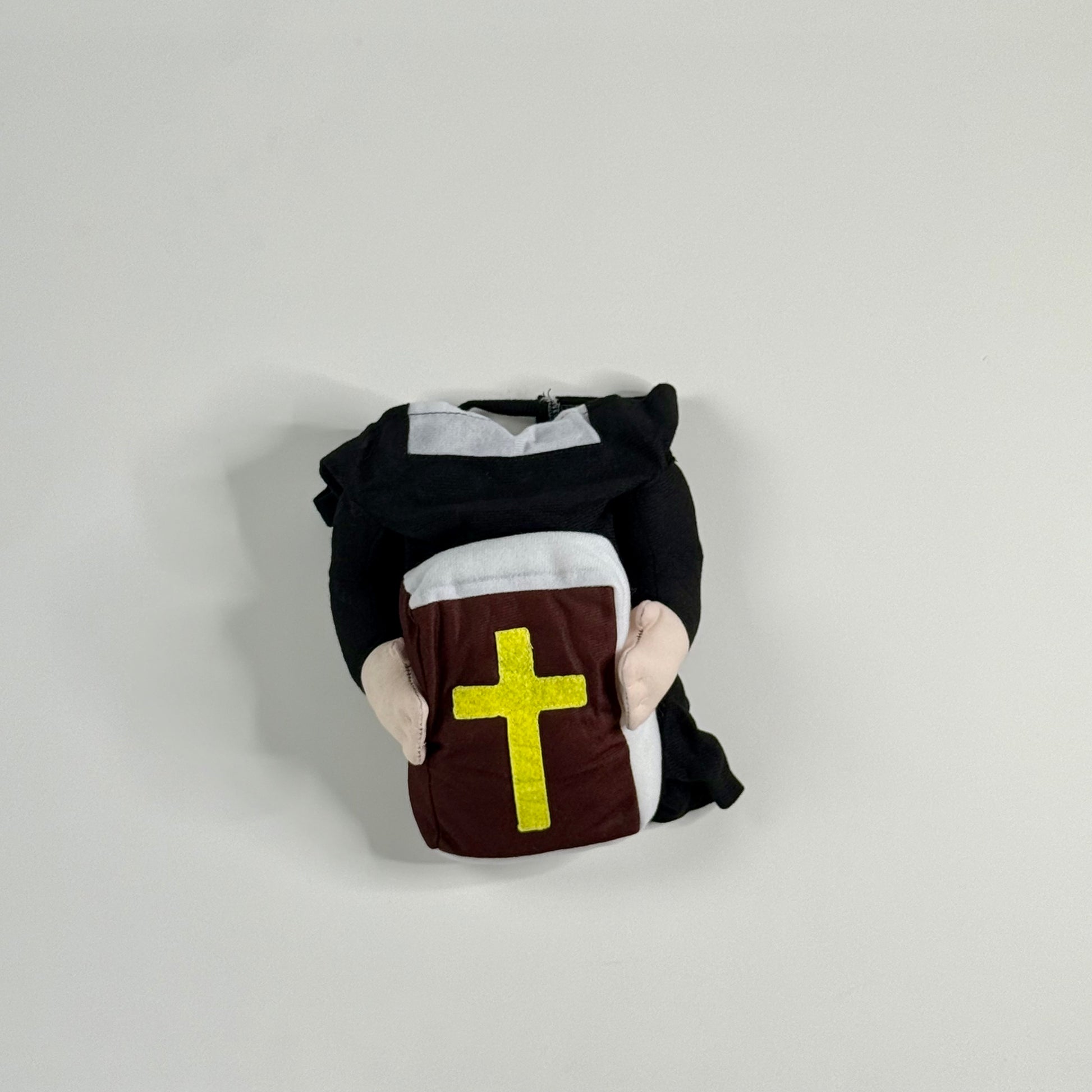 Dog costume cute priest
