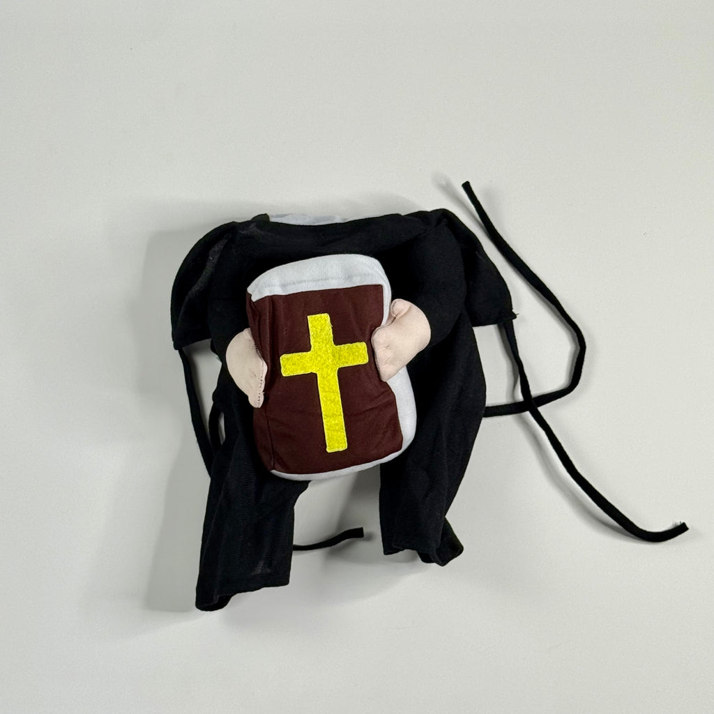 Dog costume cute priest